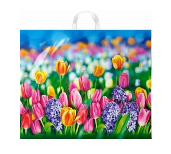 Пакет ПЭ с петлевой ручкой 60х50+6 см, (70) , (Цветочный базар), ПТЛ55209