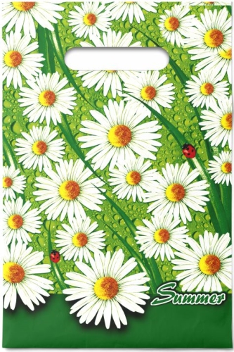 Пакет с вырубной неусиленной ручкой 20х30 (30) Интерпак (Лето), ВНР40730