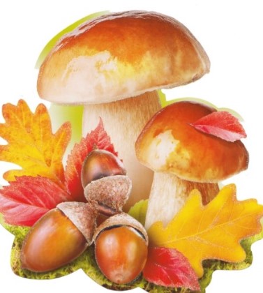 Украшение на скотче 'Гриб', (1;уп), 113-674-Т