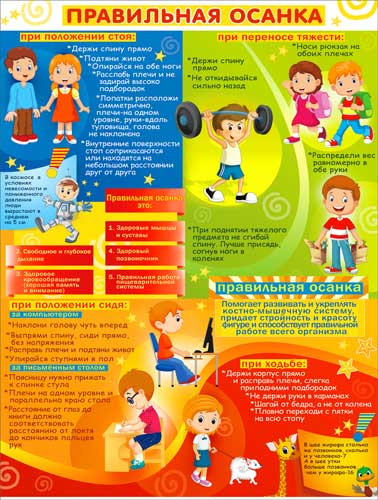 Плакат А2 'Правильная осанка' 450х595 мм, Р2-284