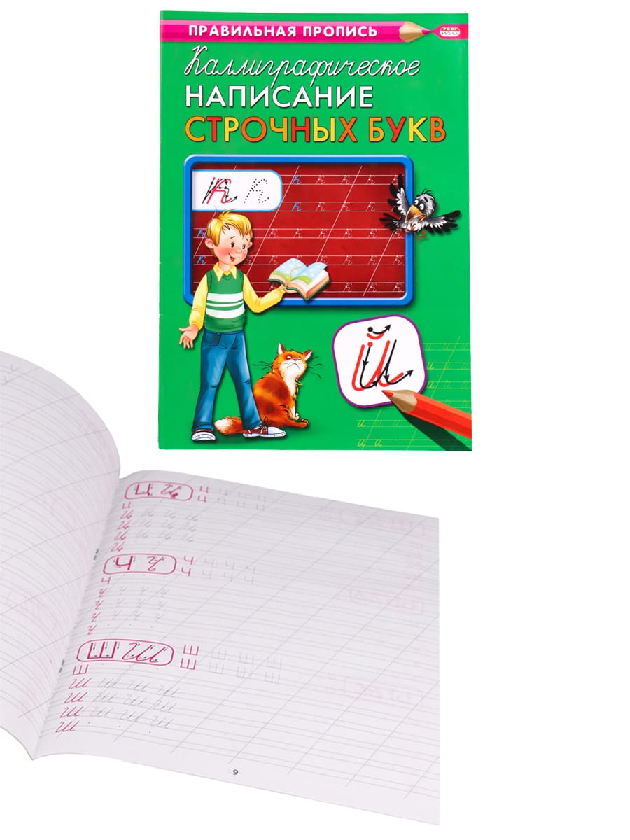 Пропись А4 КАЛЛИГРАФИЧЕСКОЕ НАПИСАНИЕ СТРОЧНЫХ БУКВ (ПР-9317) 8л., обл.-цветная мелов.бумага